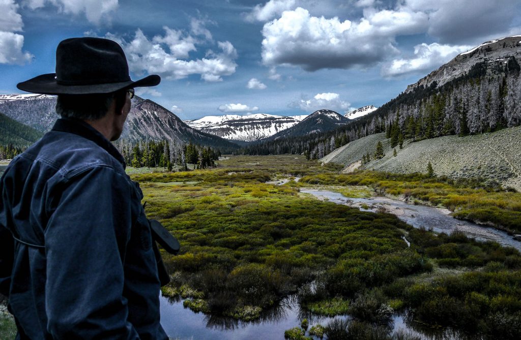The Wilderness Society is a leader in protecting millions of acres of wildlands in the American West in ways that are strongly aligned with our Western Conservation strategy; for over 15 years we have provided them with general operating support enabling them to be as agile and effective with their work as possible.